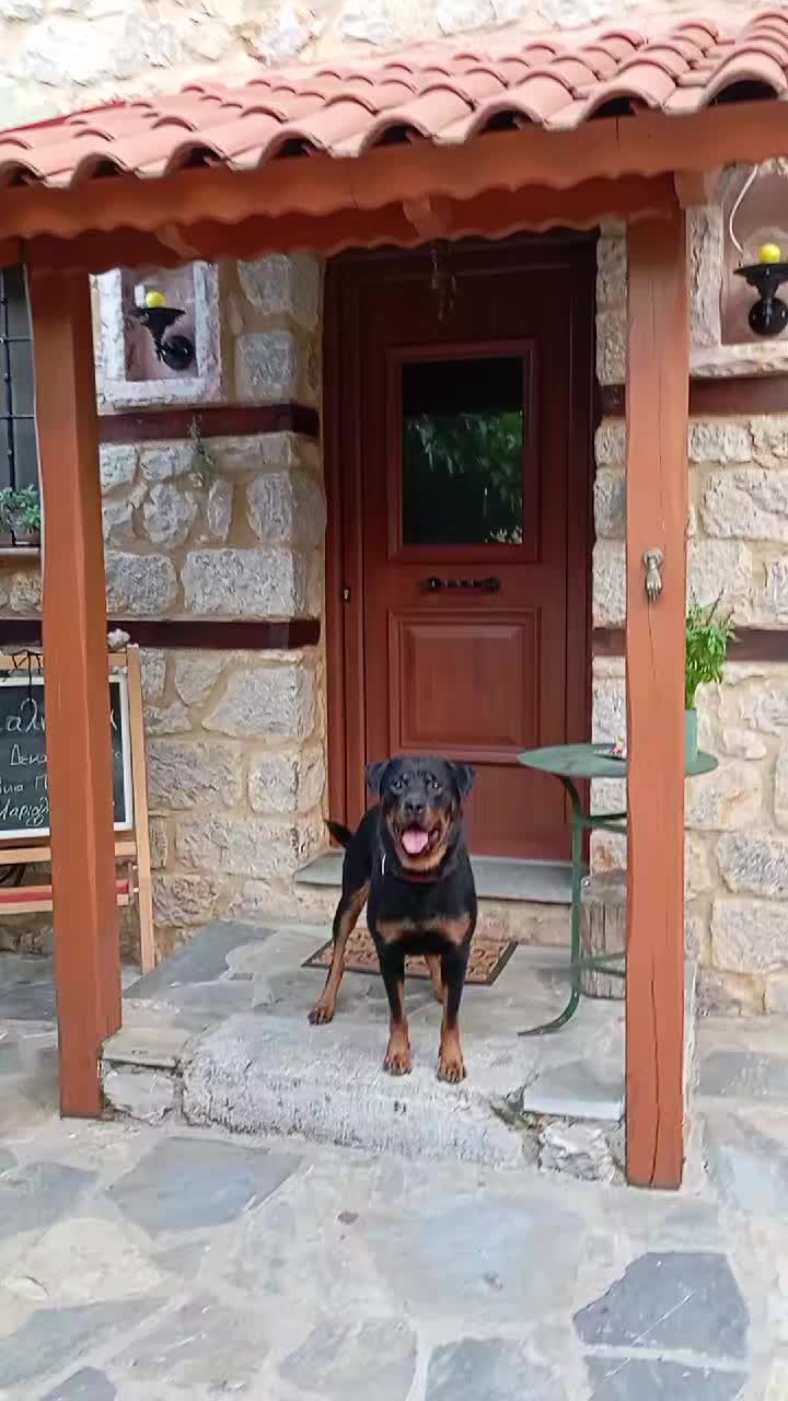 @Tasos Krikelis