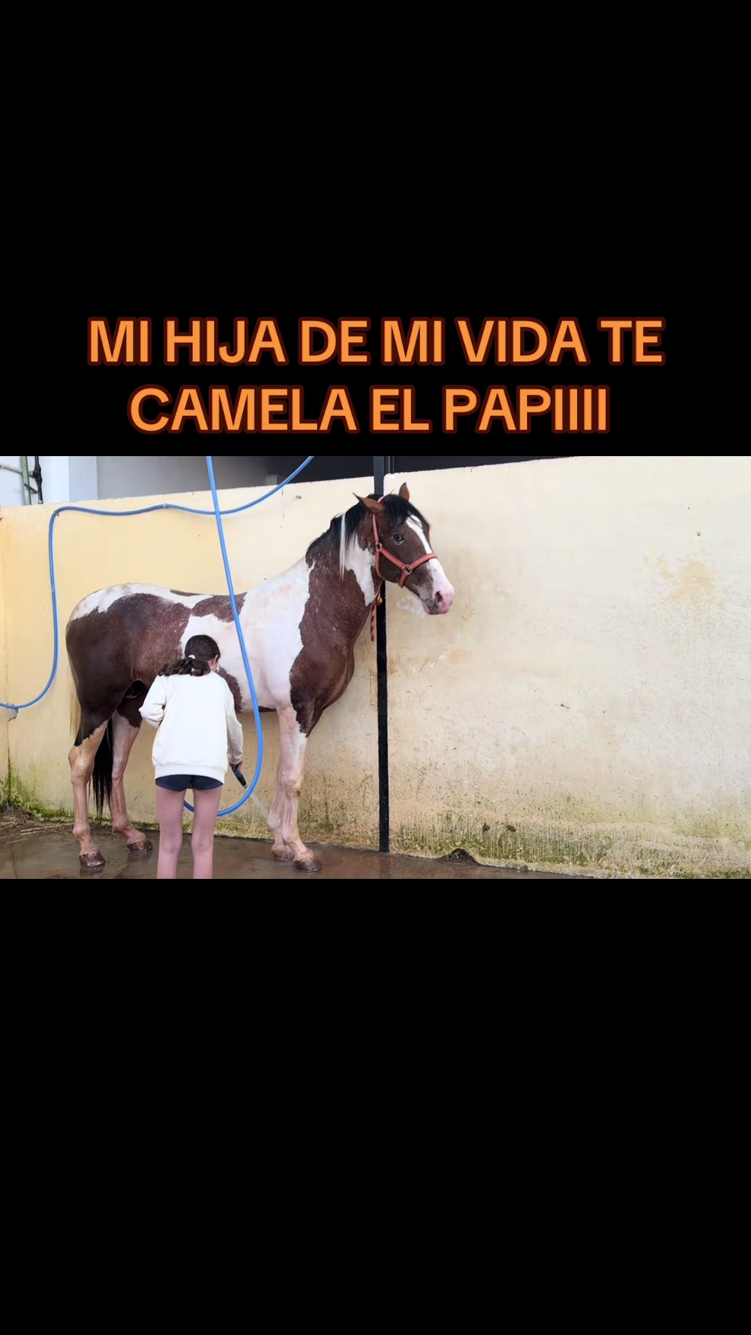 @Antonio Duran Perez