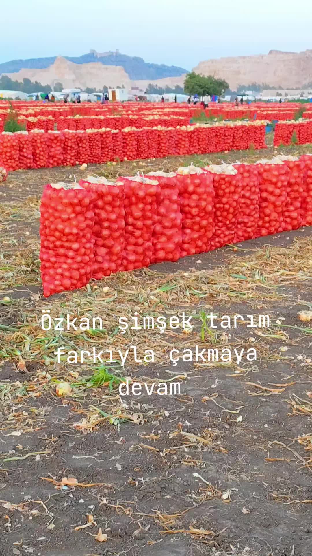 @şehmus kartal 82🦅