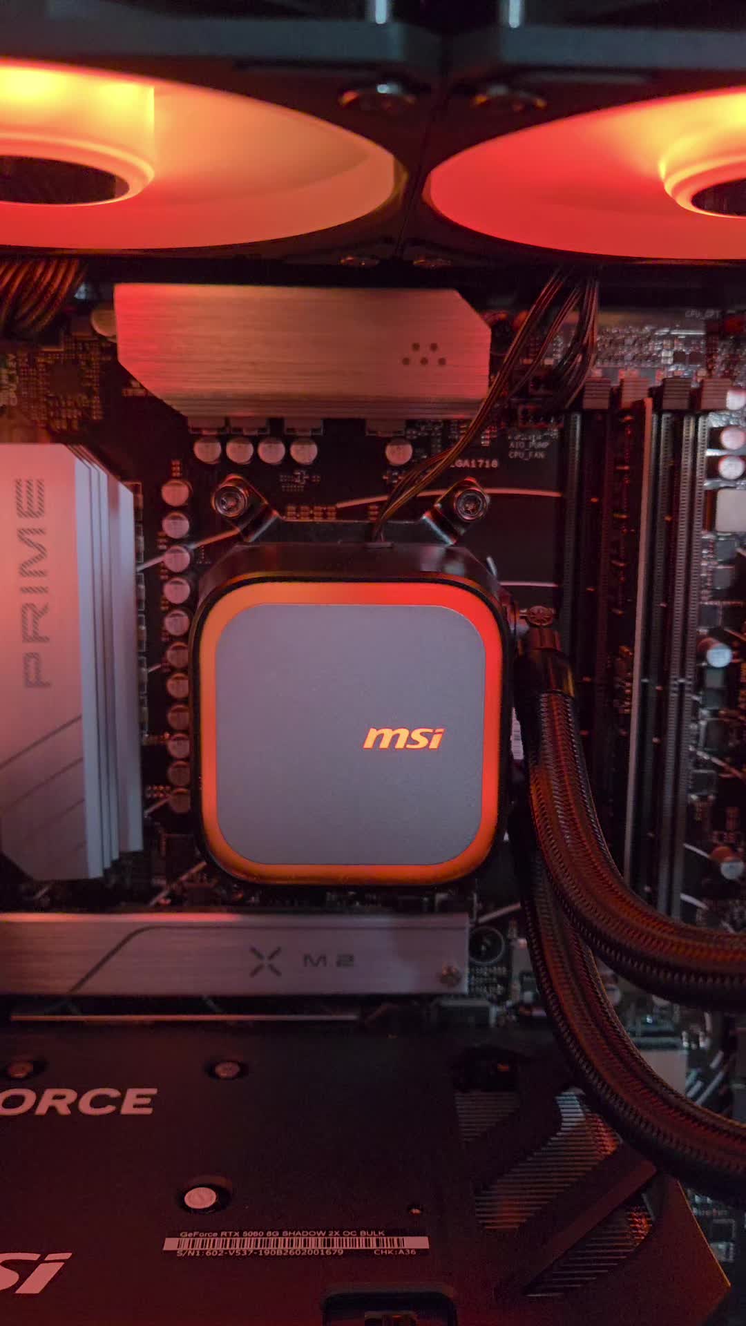 @PC Rig