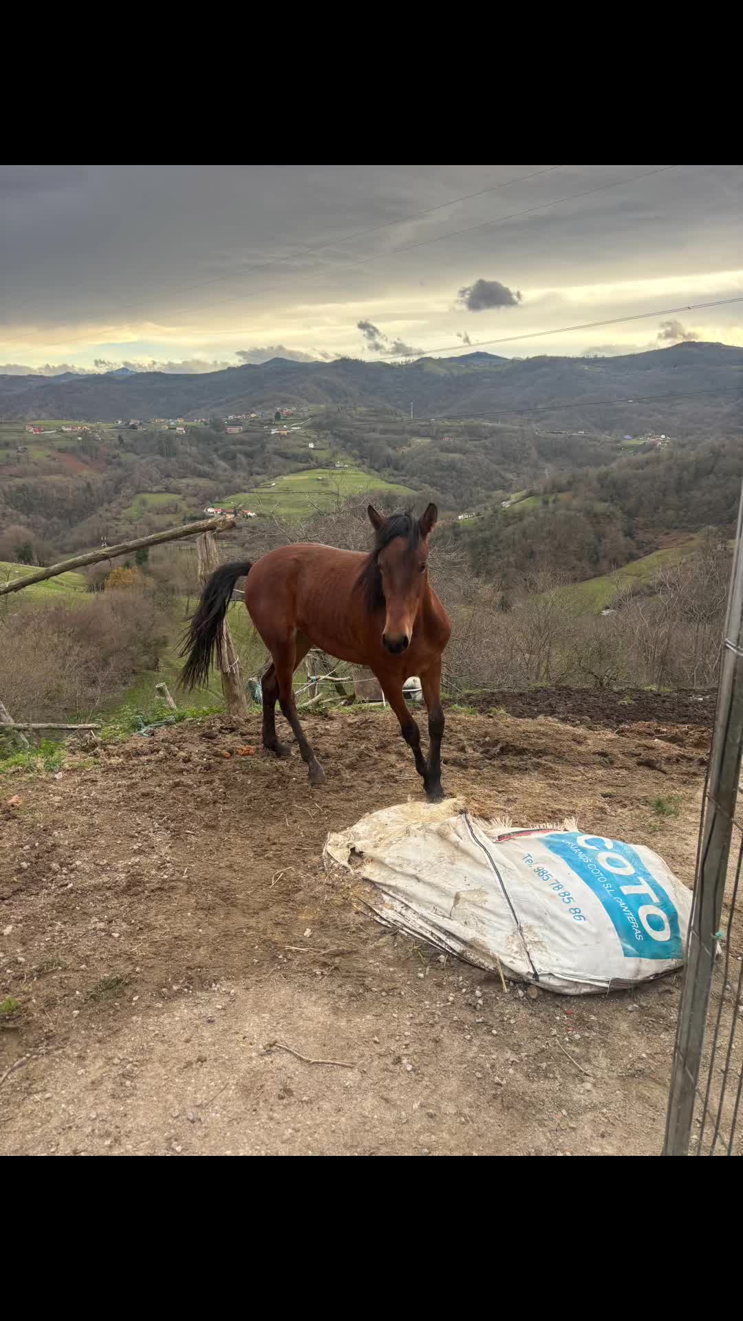 @Santi De La Grana