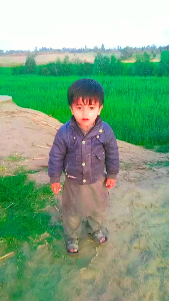 @GULMEER Dhuli 5211