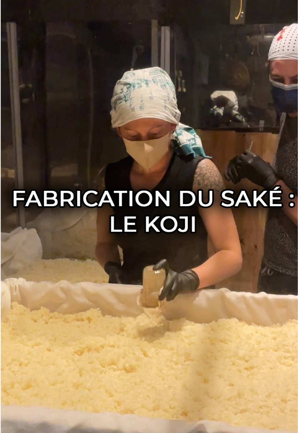 @Le Go&ucirc;t des Racines