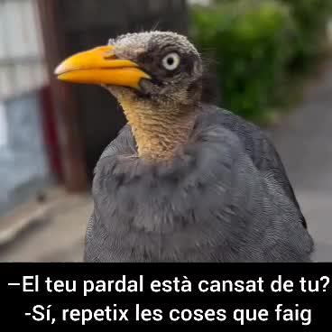 @xufet