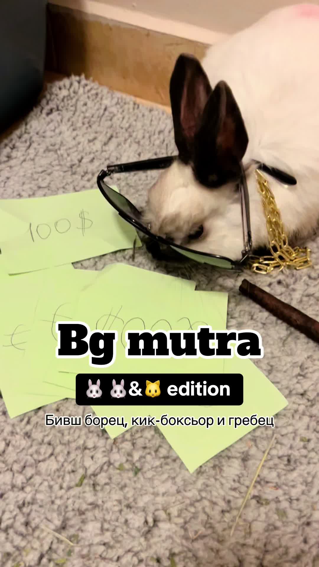 @Doroteya Veleva