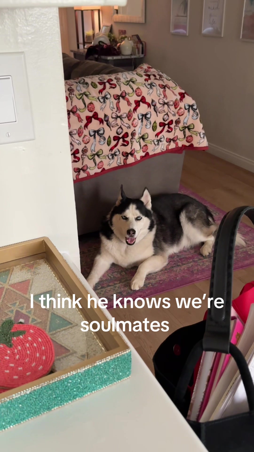 @HayleyandtheBeast