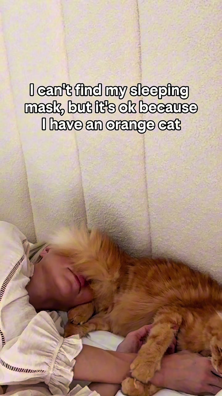 @Mitay_cat