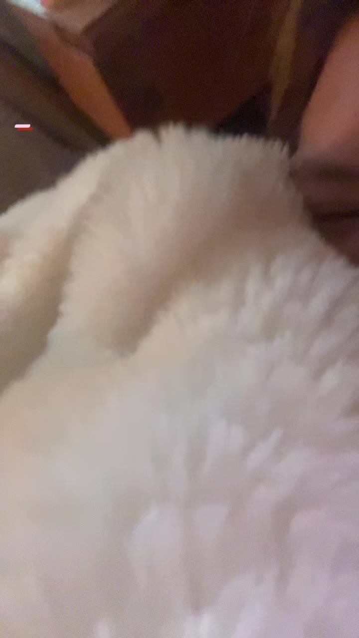 @Taylor🤍