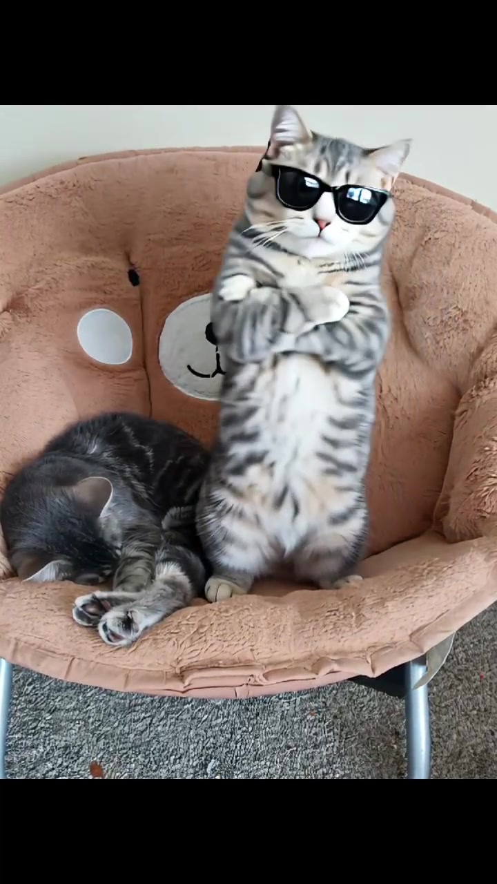 @Lynn Rentauskas