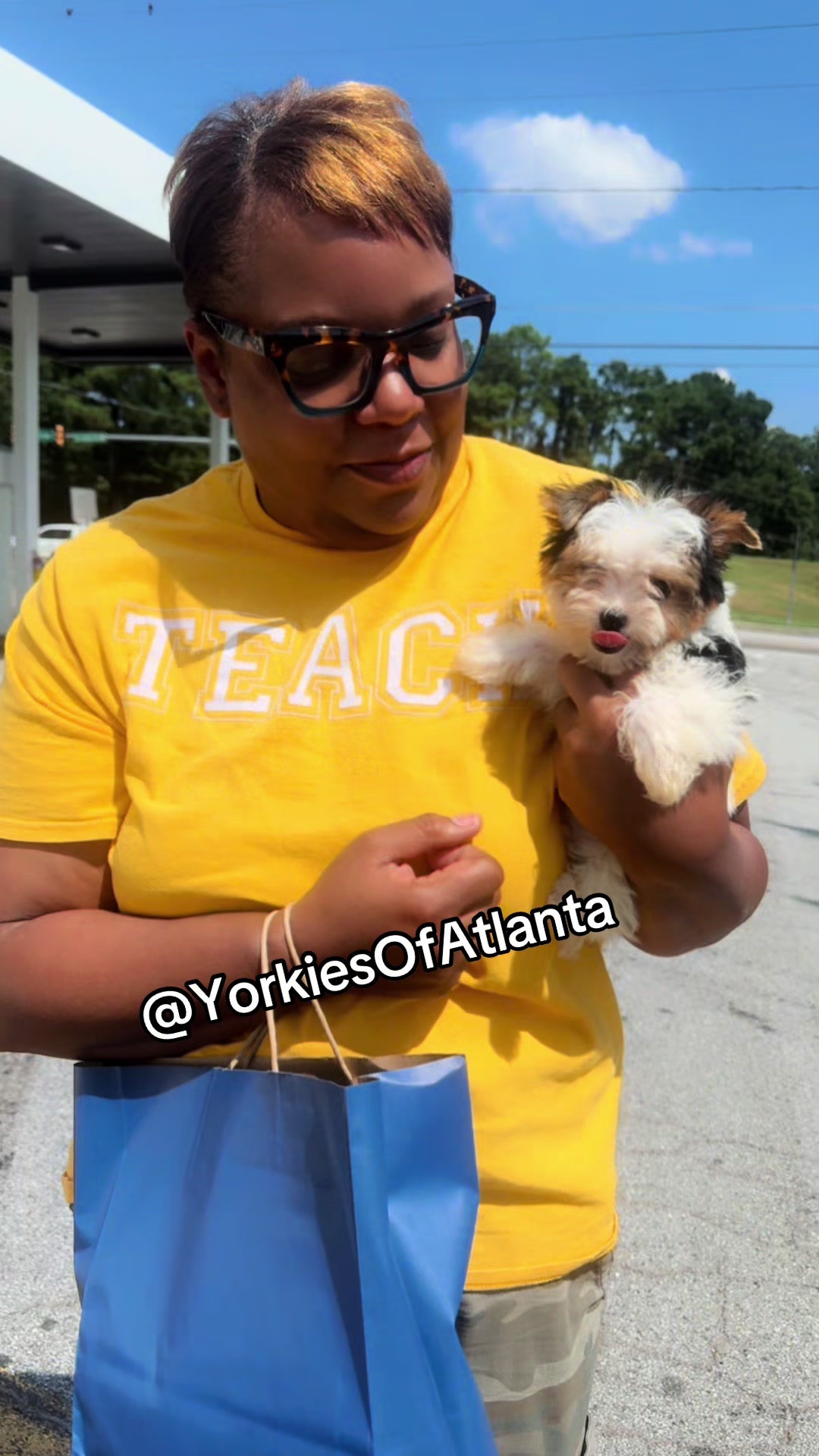 @Yorkies Of Atlanta
