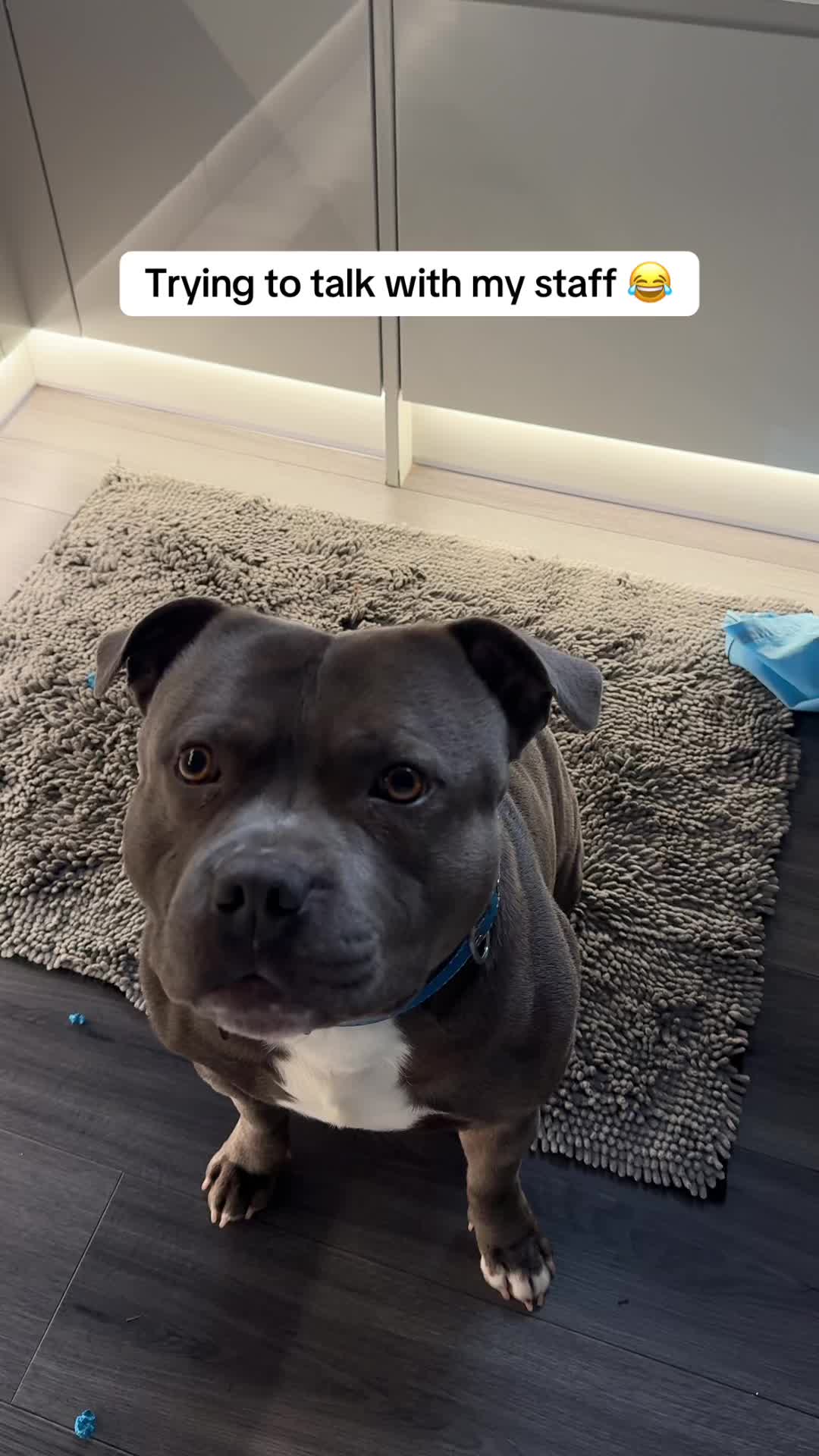 @jaegerstaffy