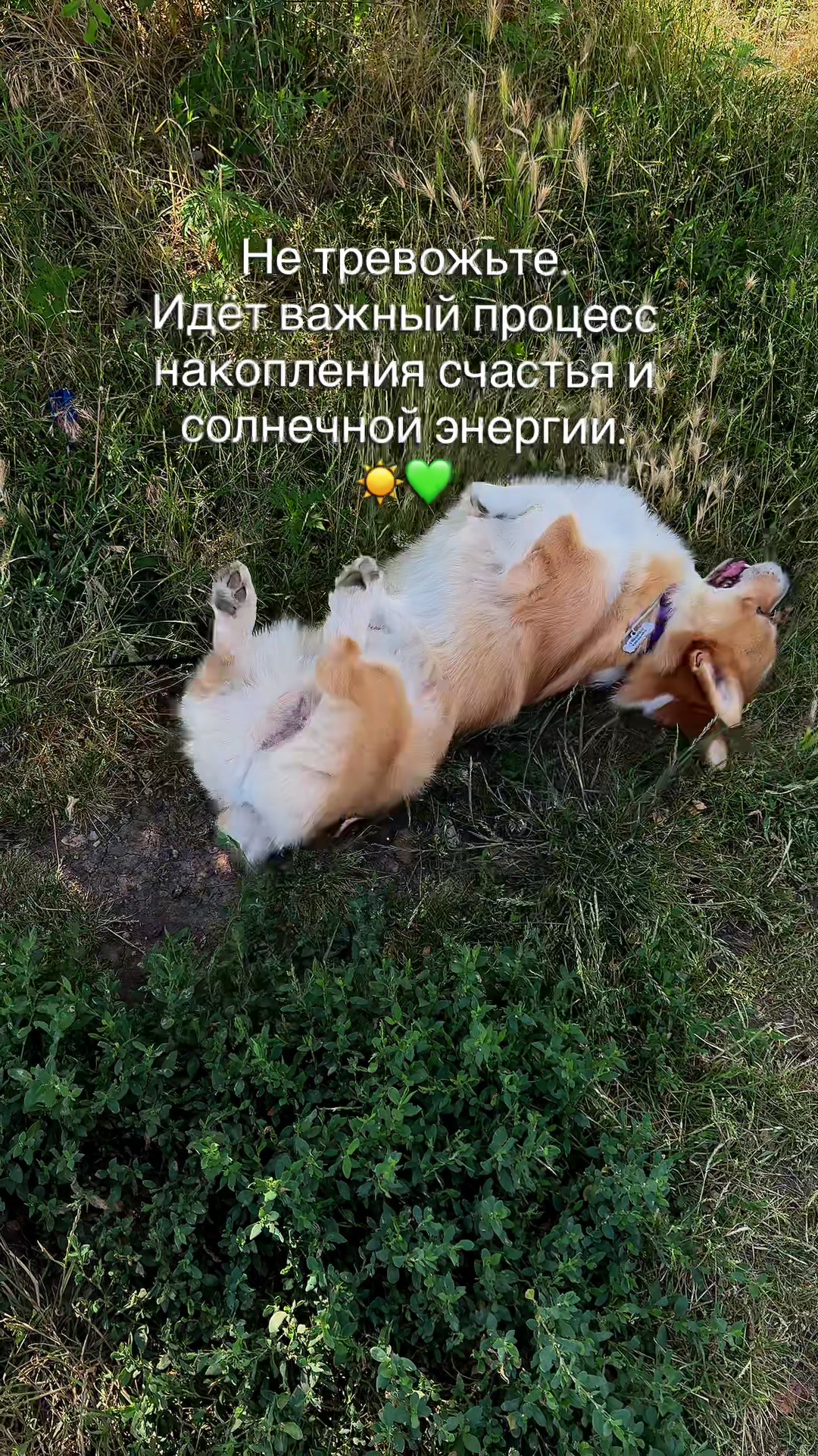 @Vlada & Santos