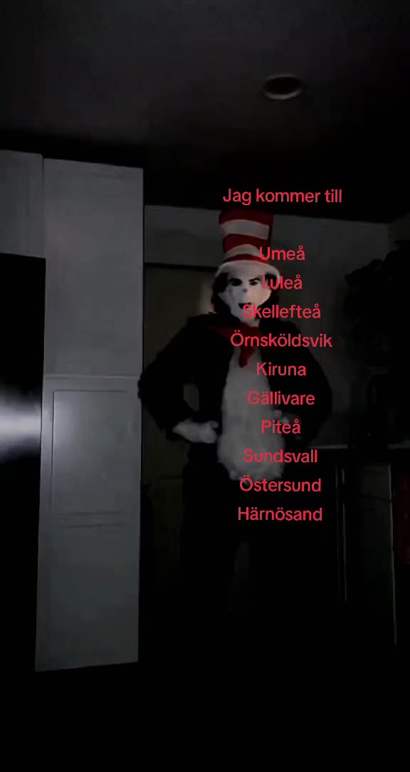 @katten i hatten