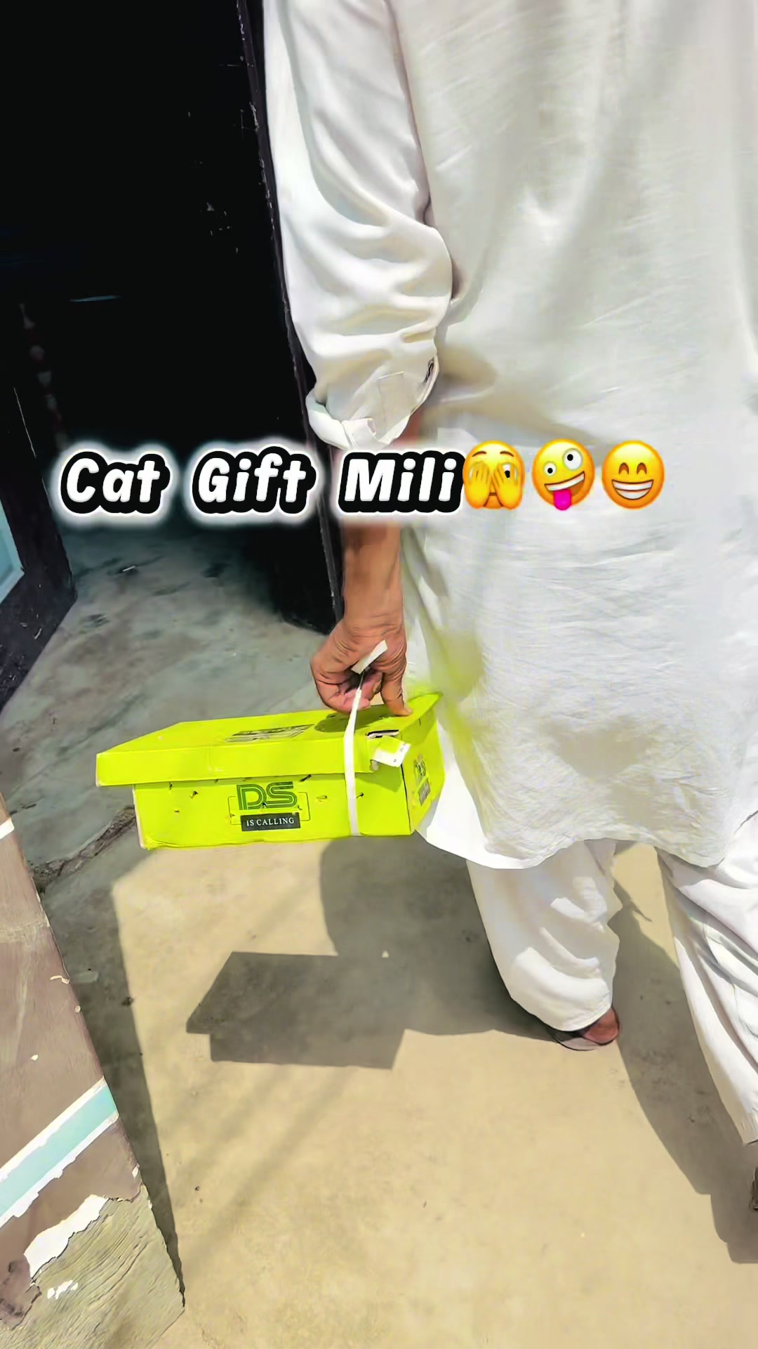 @Kashi Mini Vlog