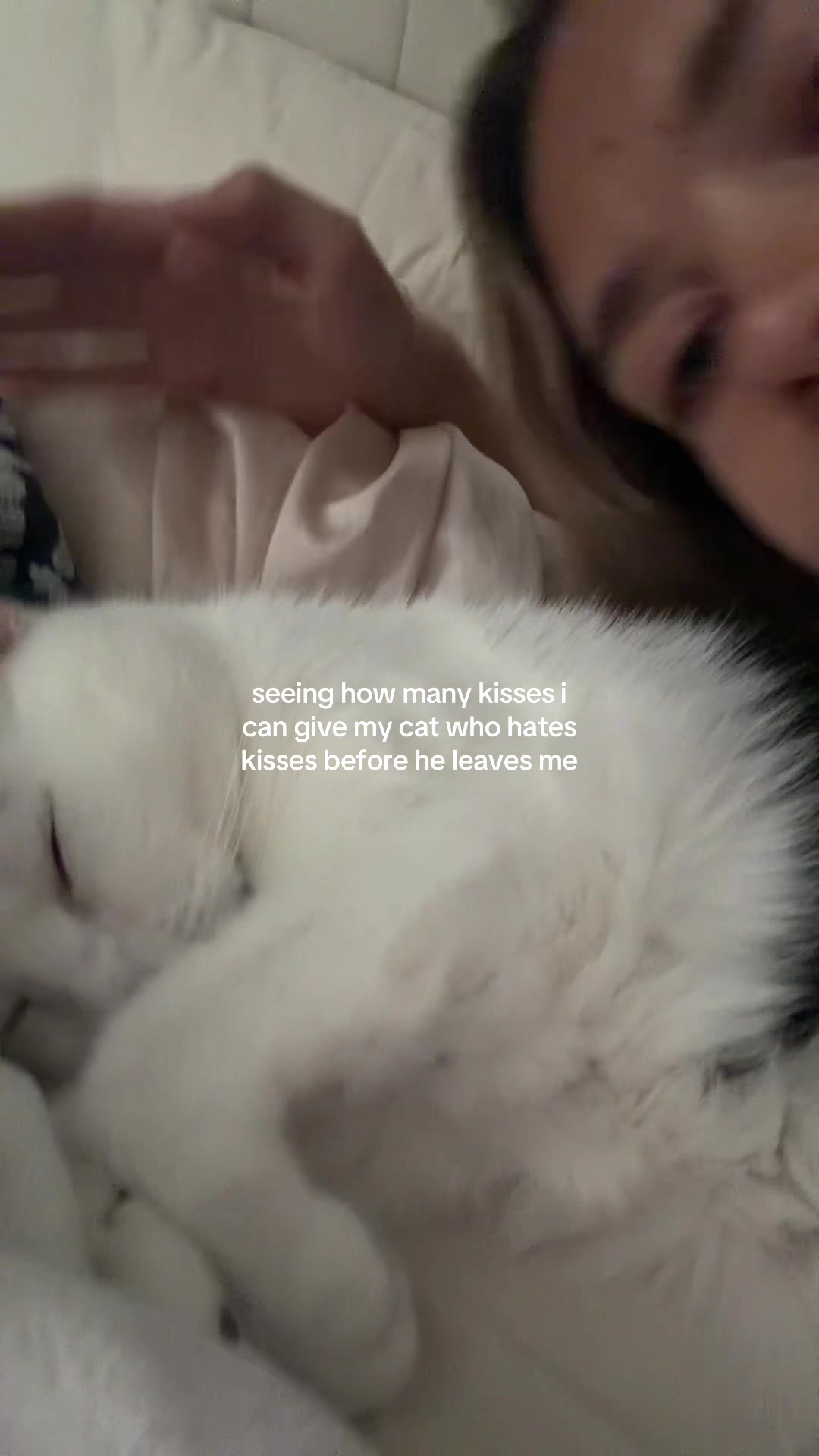 @alyssanotfound