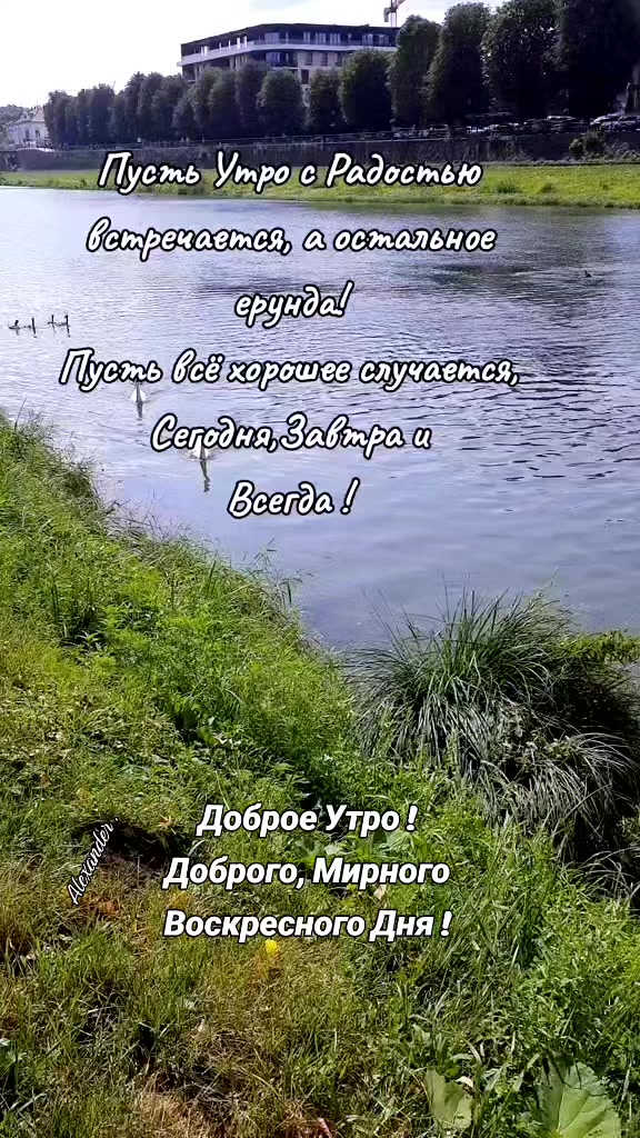 @Александр