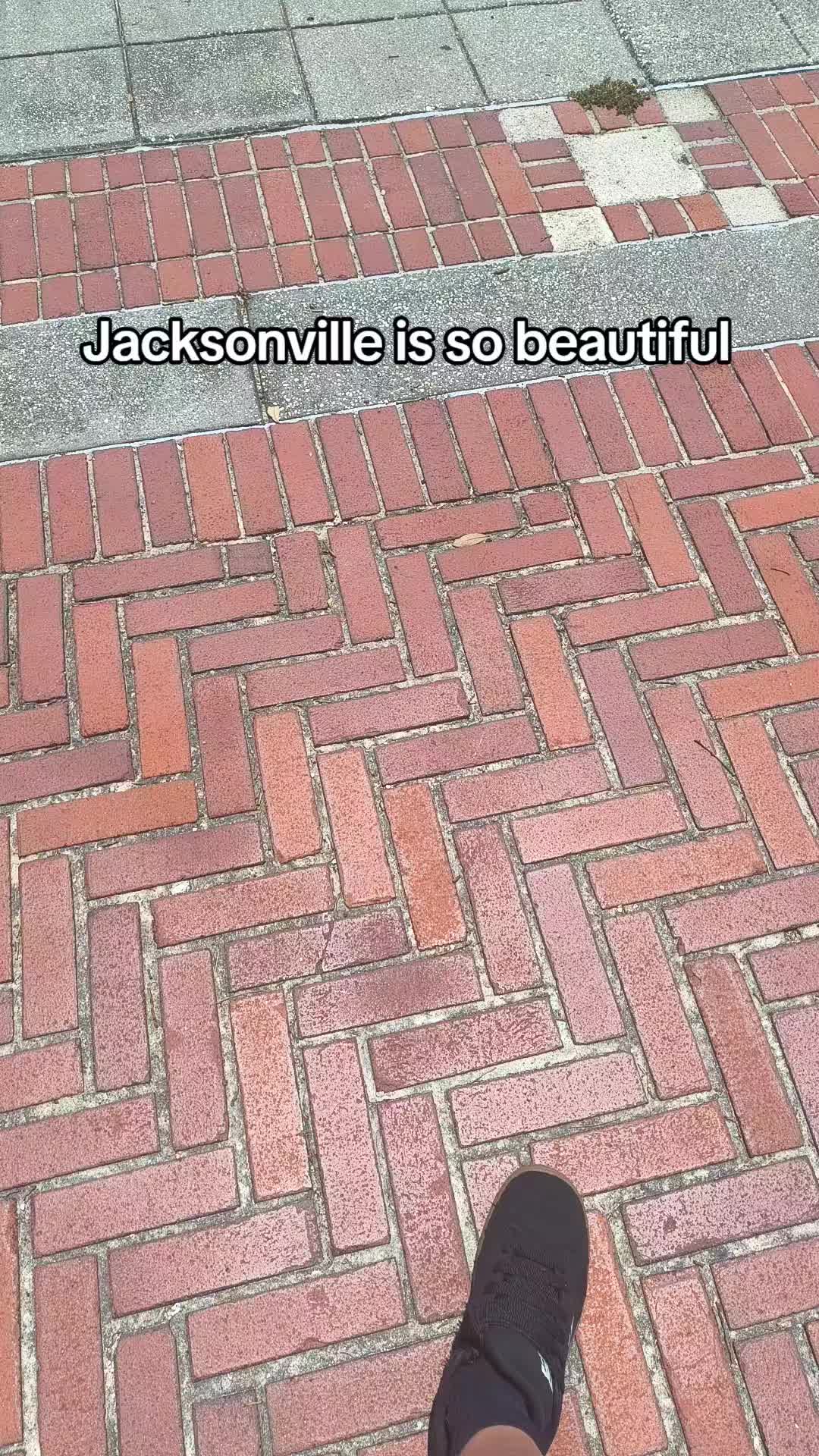 @theturningduckmaster