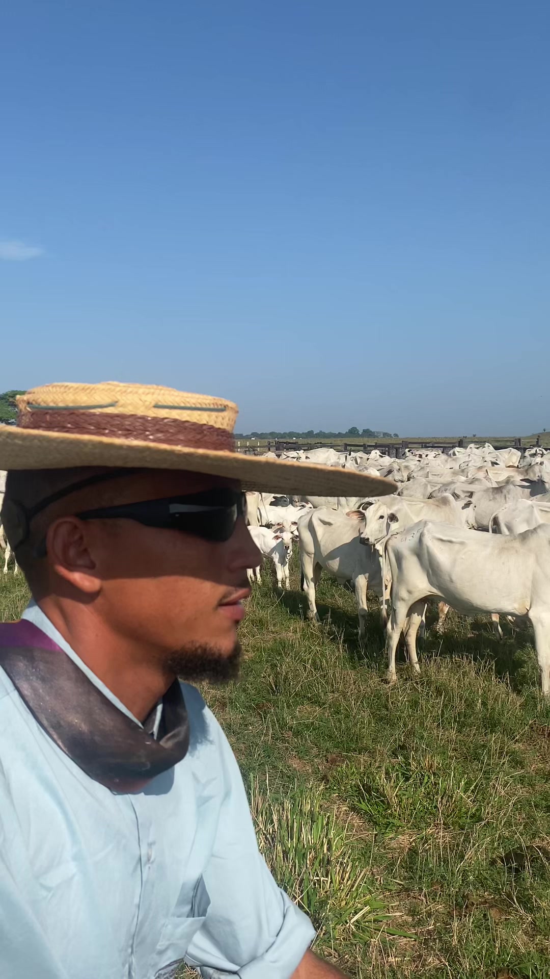 @André Souza Barros