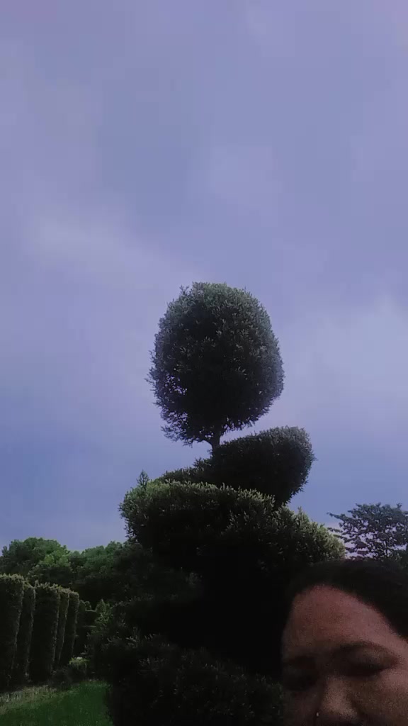 @palpali_kanxi