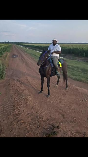 @MrRussellFarms🐴🐴🐴