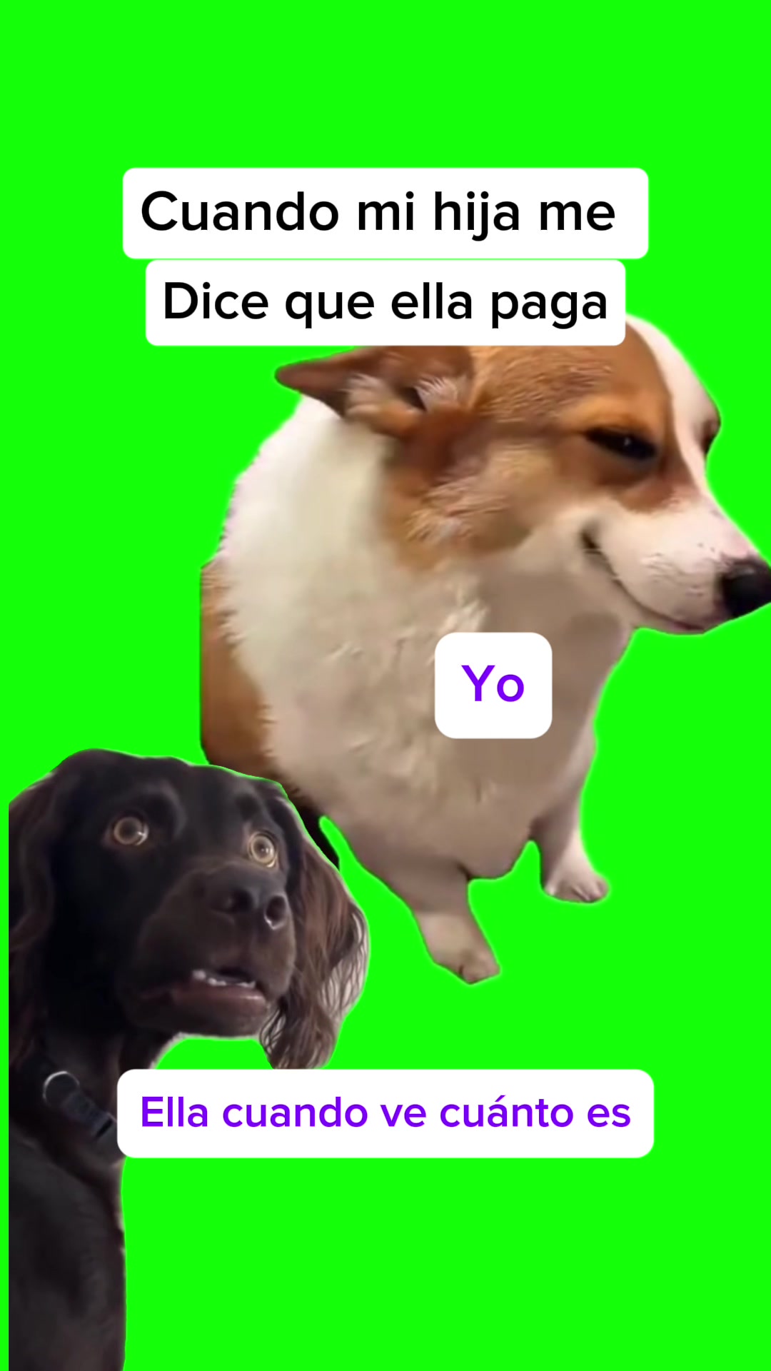 @Chio Vlogs