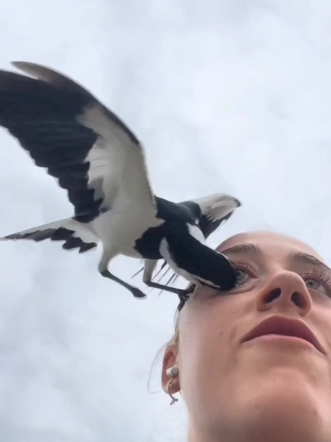 @Bird Man🦅 🇿🇦