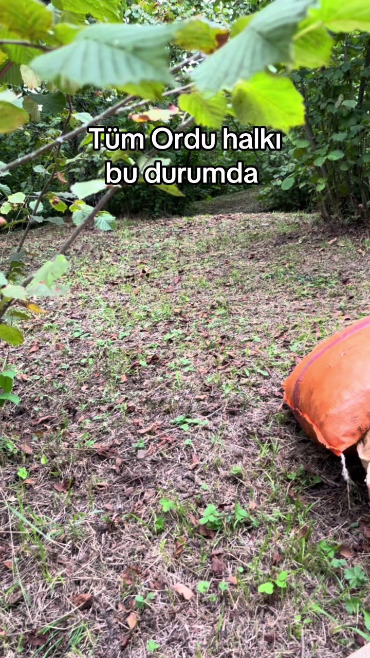 @Beytullah_şal