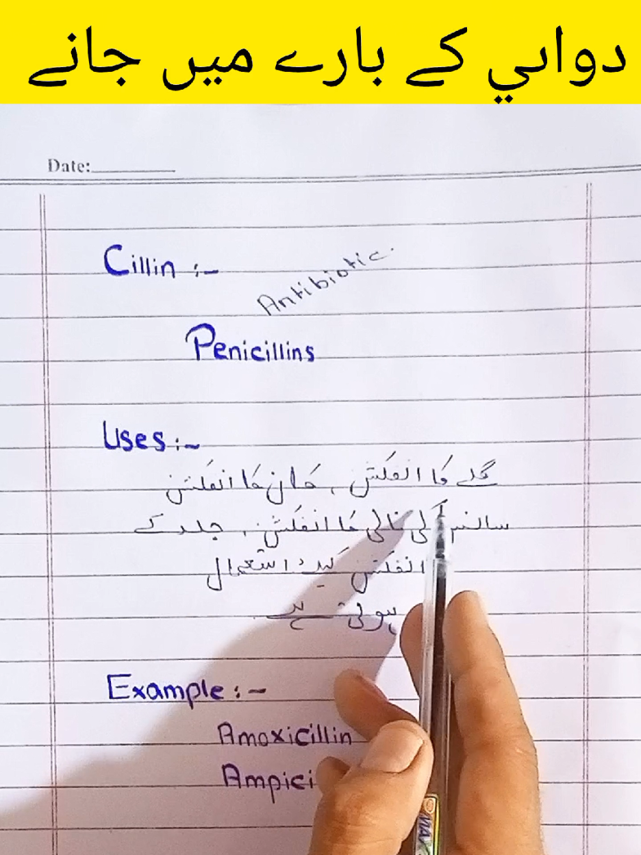 @Knowledge ✍️