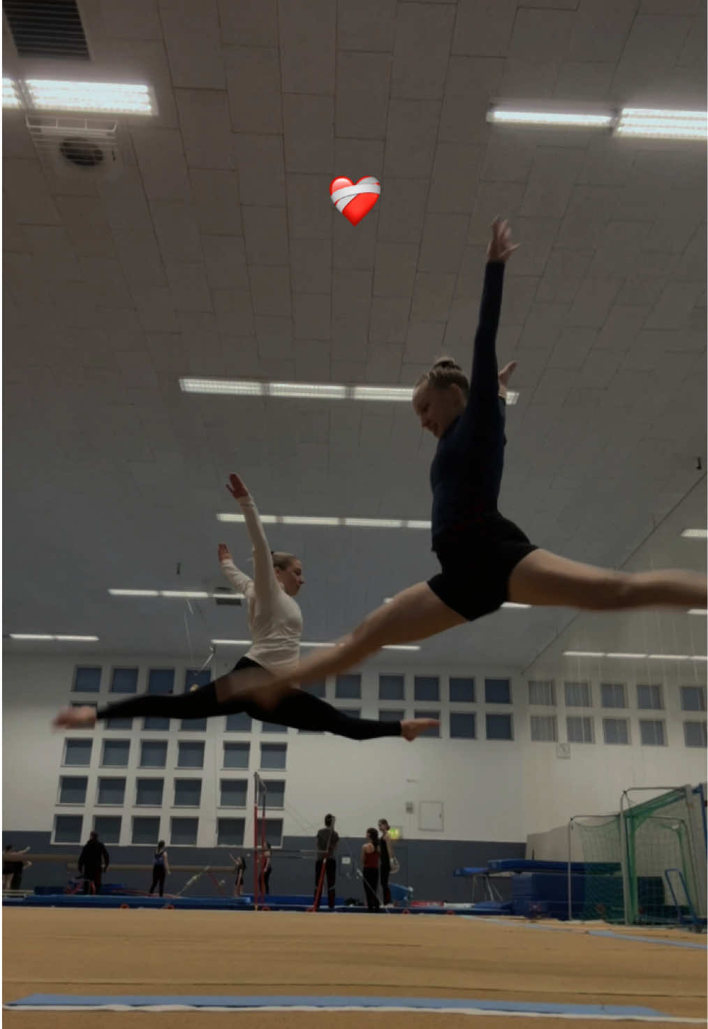 @Sina