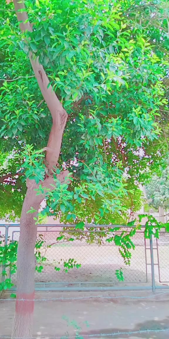 @@#£Khan