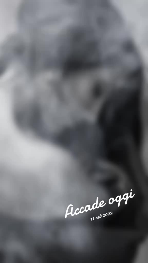 @alessandro_Castaldo__
