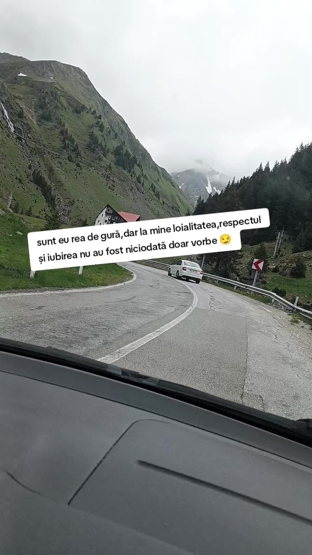 @Irina Elena