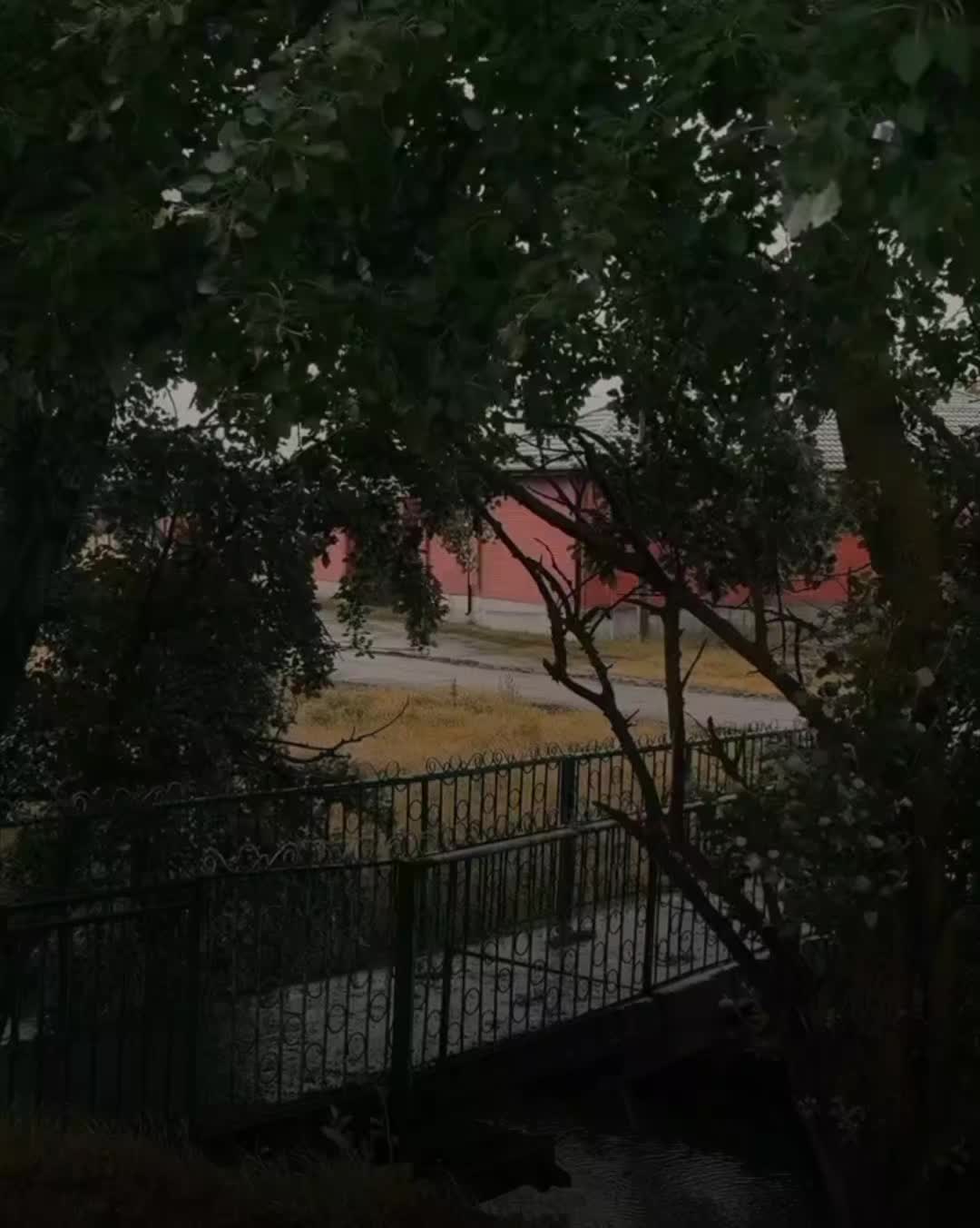 @𝗡𝗶𝗺𝗿𝗮 𝗔𝗲𝘀𝘁𝗵𝗲𝘁𝗶𝗰
