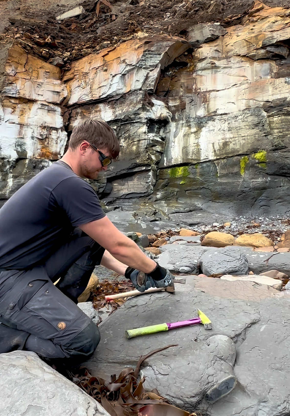 @yorkshire.fossils
