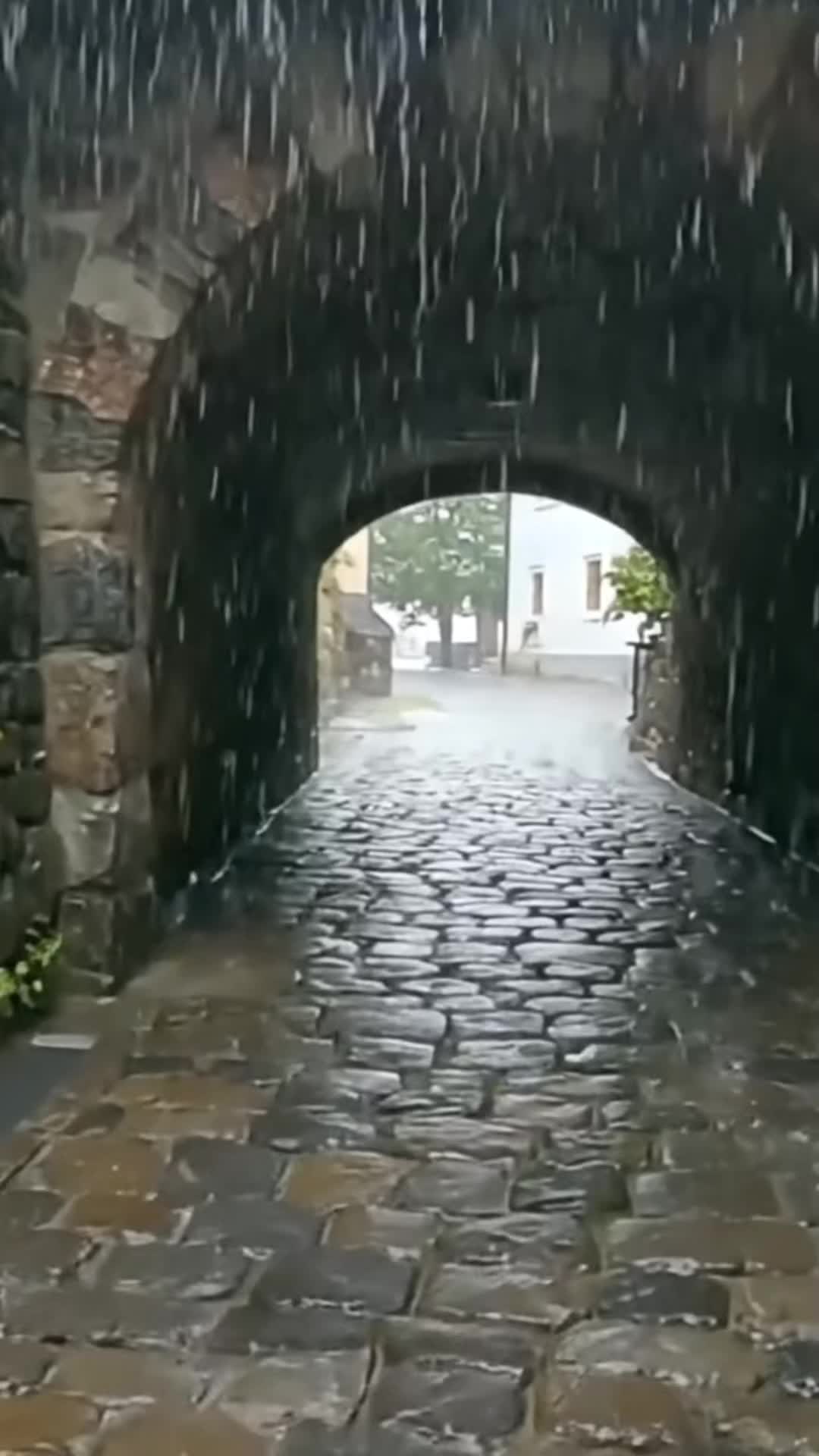 @Mountain_lover58599