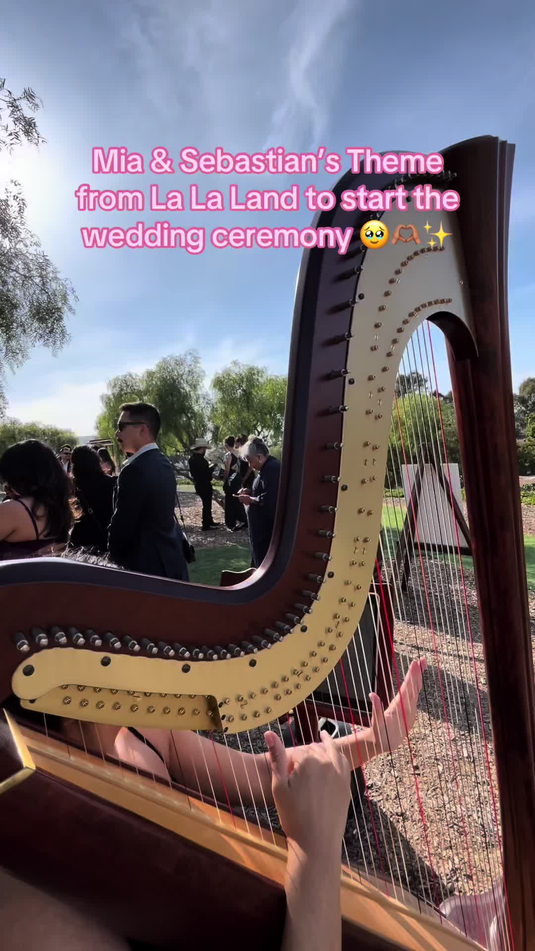 @betaniarodriguezharp