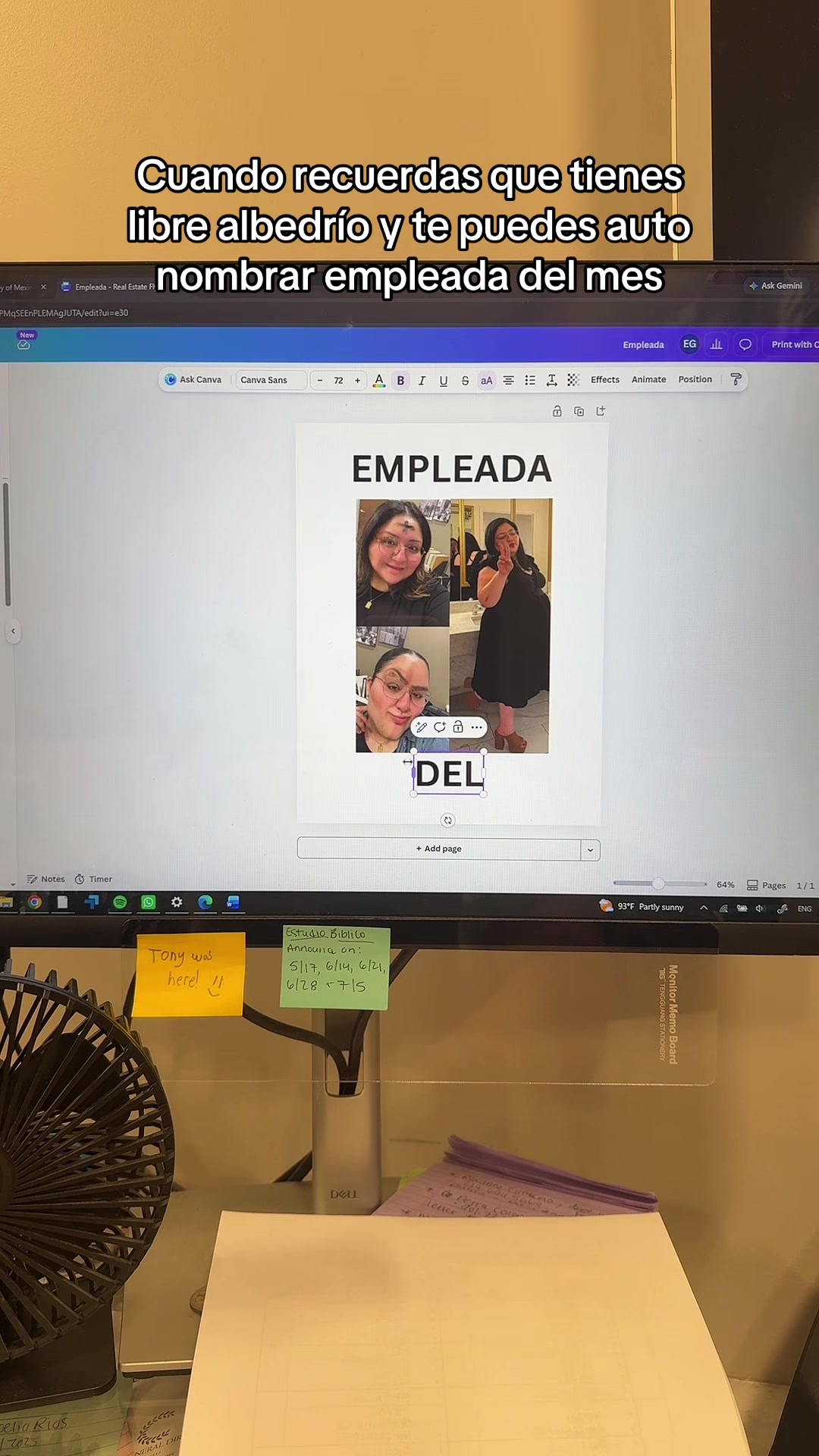 @Eva Gonzalez 💙