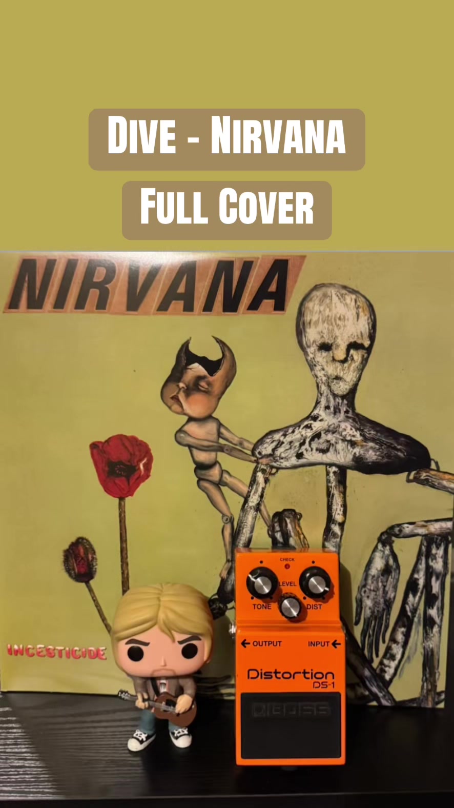 @twin_reverb_