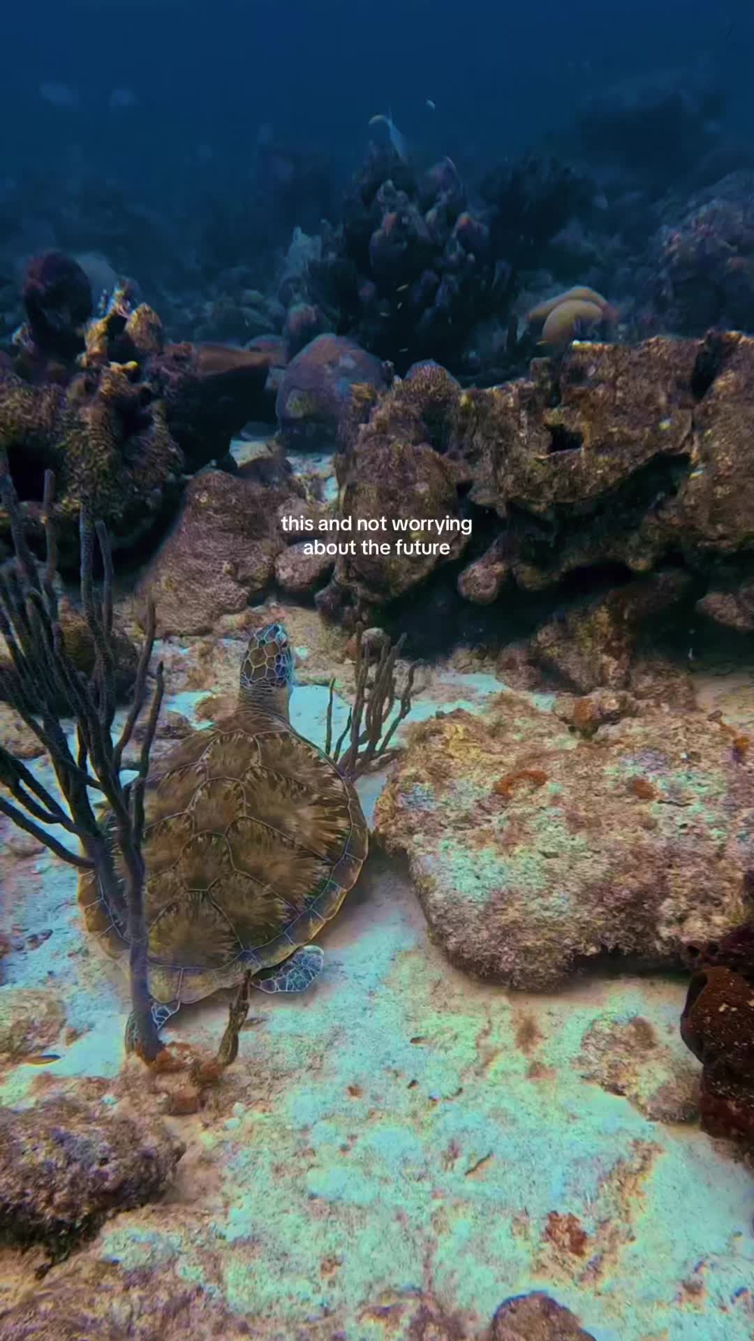 @ⒿⒶⒸⓄⒷ