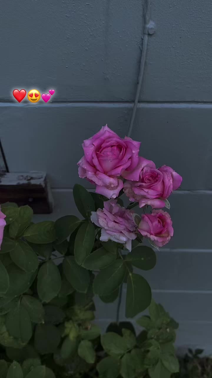 @💕Maricruz🍀🦋