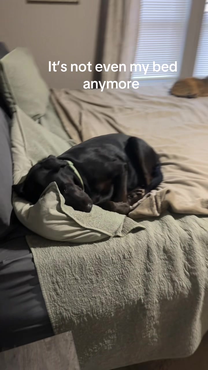 @dylan_nichols28