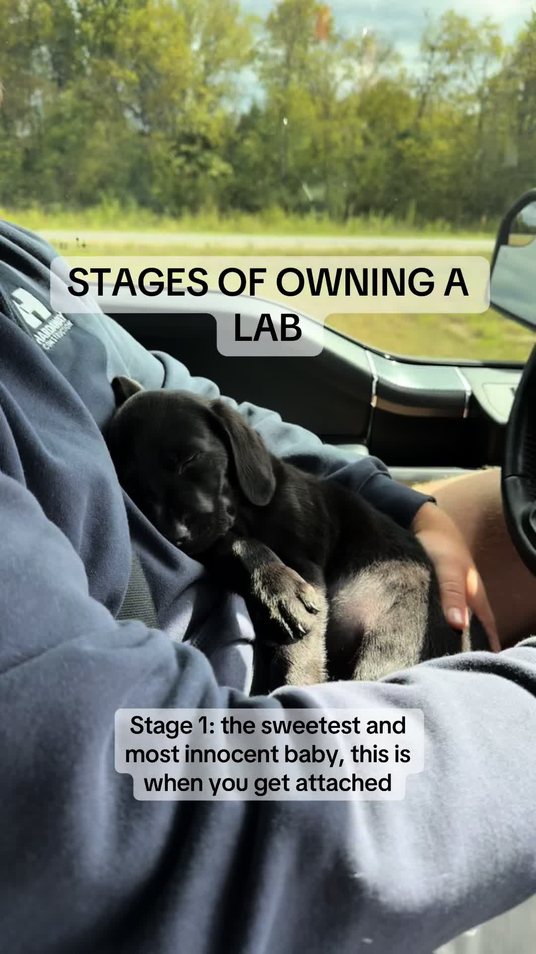 @ghostblacklab