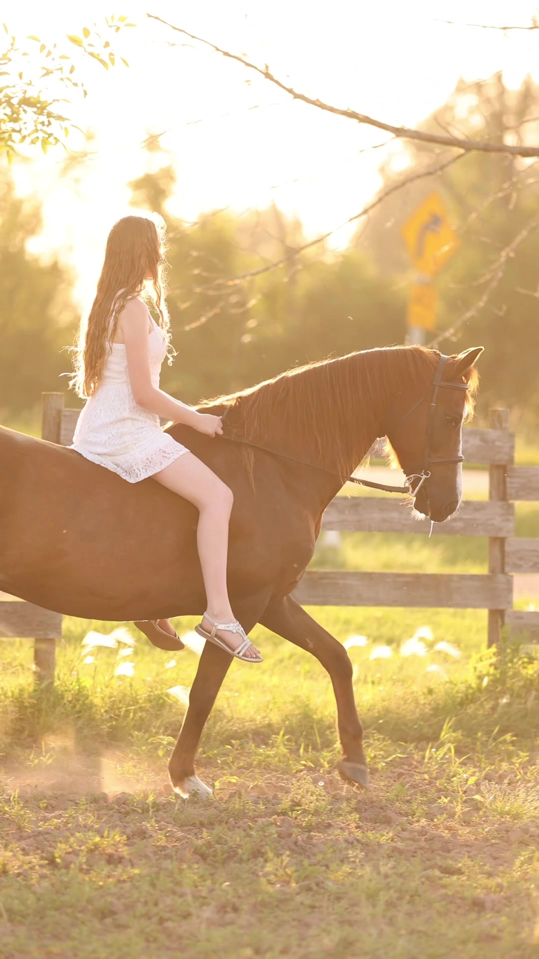 @Aubray | Equine Photographer