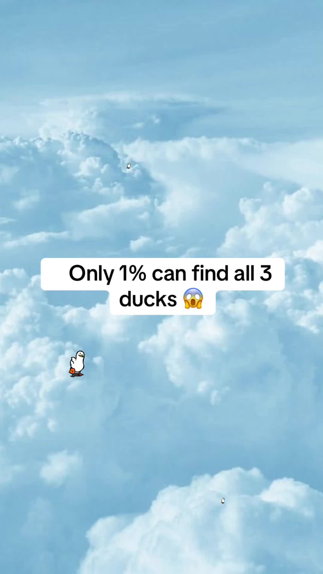 @smartwords0