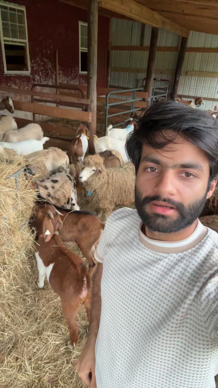 @Ali Malhi 10 🇺🇸🇵🇰