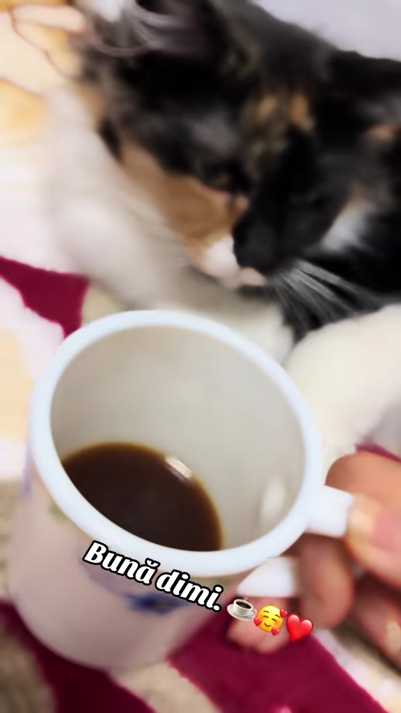 @𝑴𝒐𝒏𝒊𝒄𝒂