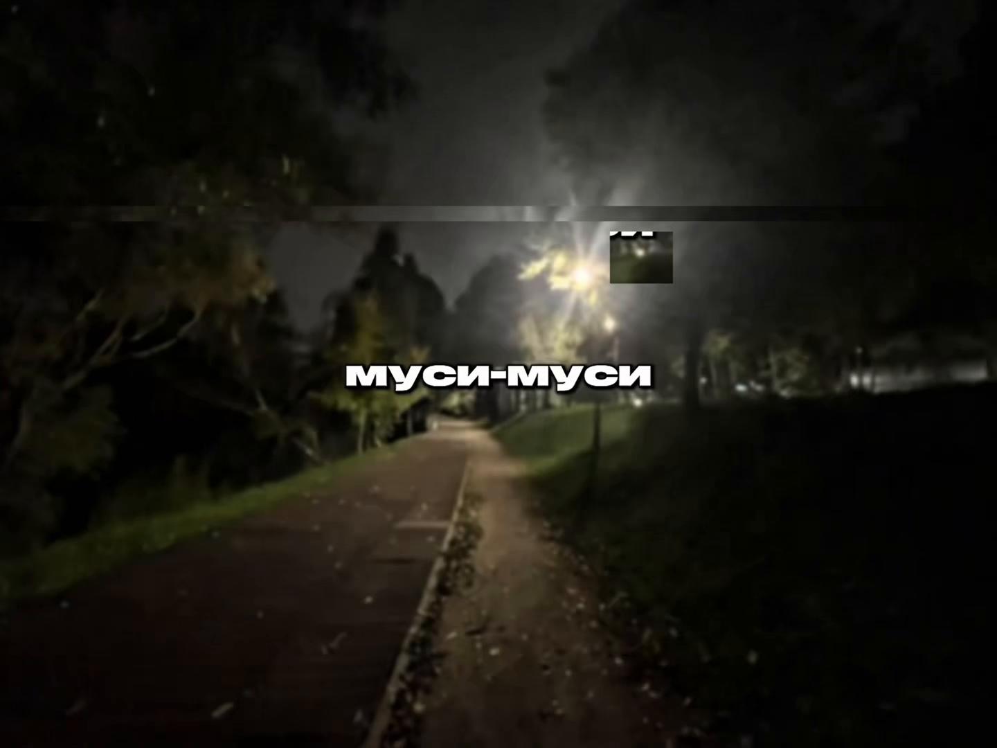 @твой липсинг