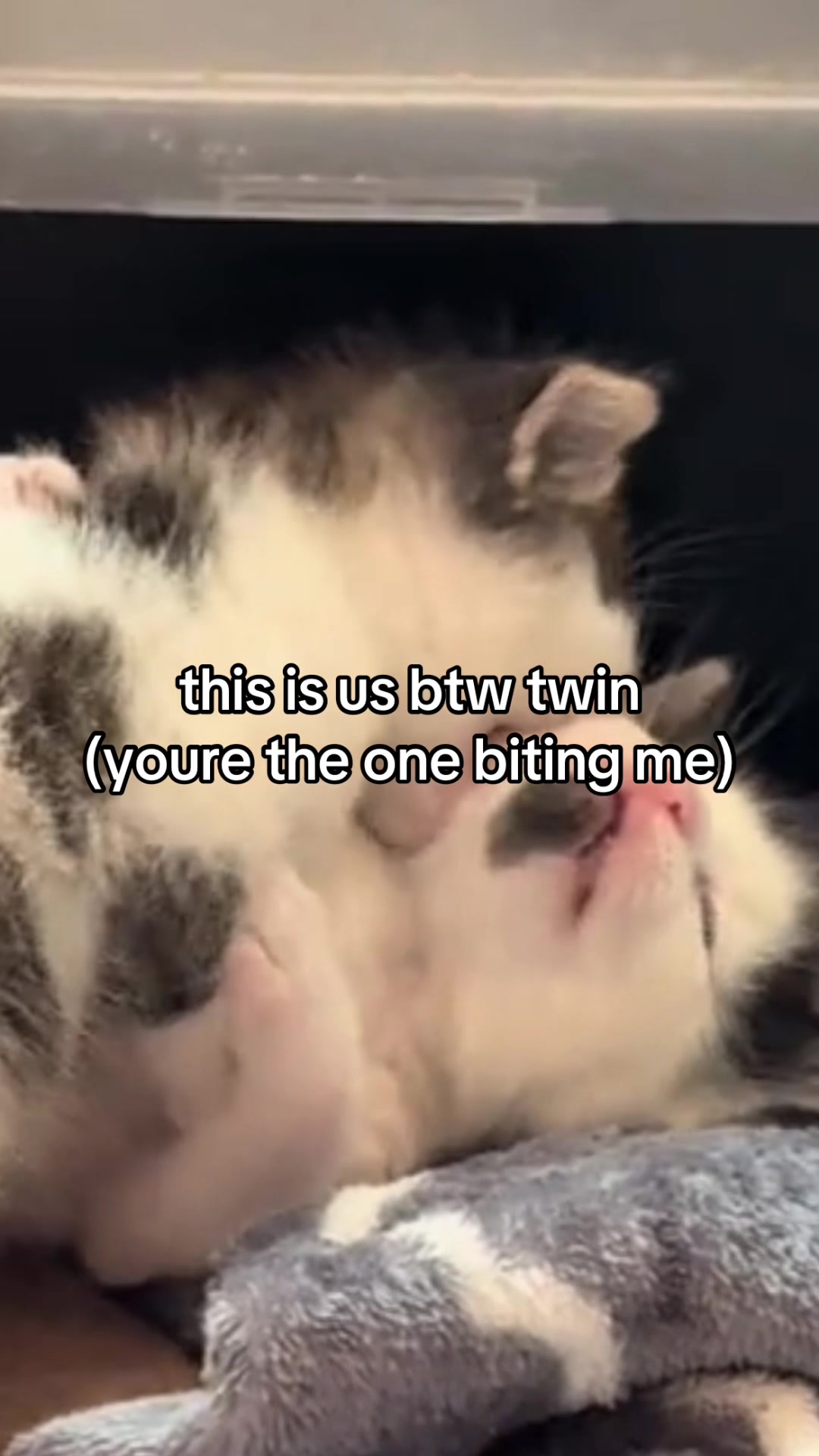 @♡