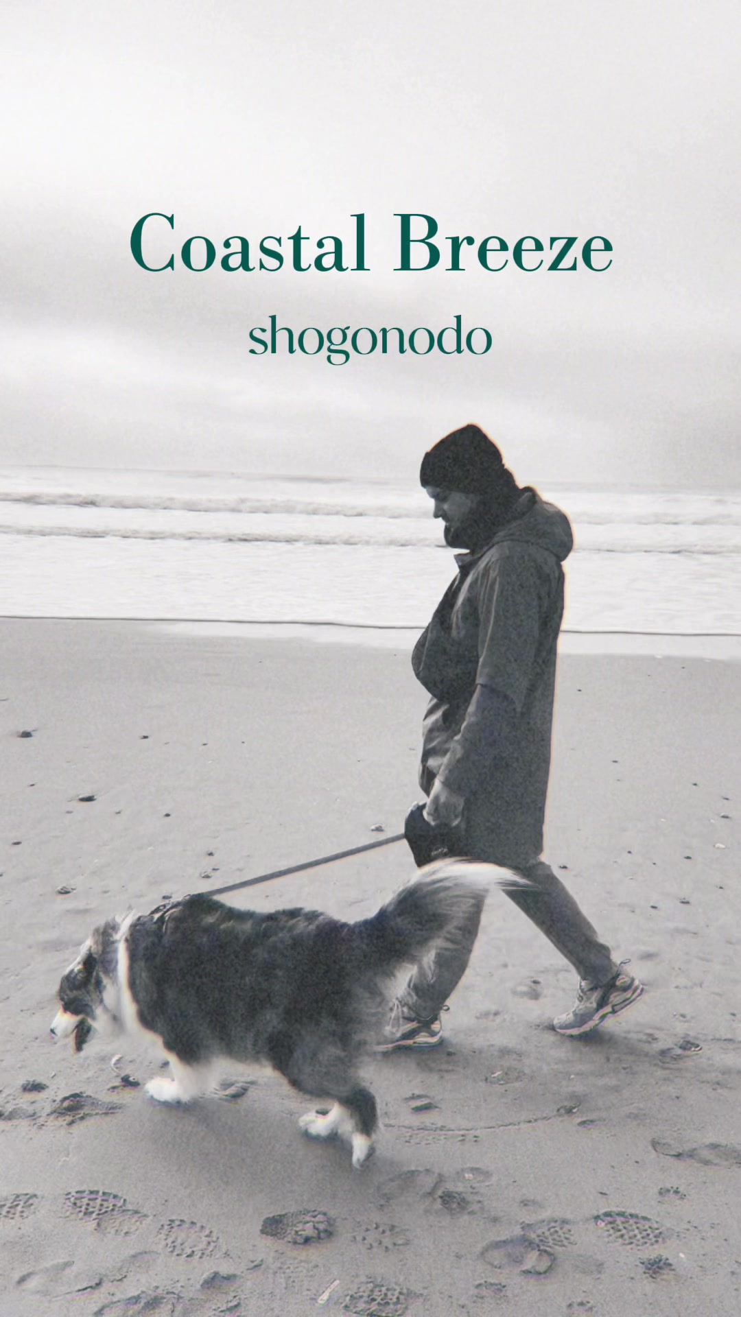 @shogonodo