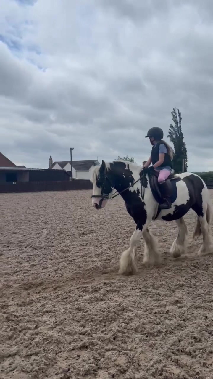@LottiesHorseAdventures🦄🐴